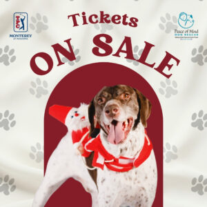 A dog wearing a red scarf and Santa toy poses in front of a "Tickets On Sale" sign with logos for two dog organizations and paw print patterns in the background. | In Bloom Salon & Spa, Monterey CA